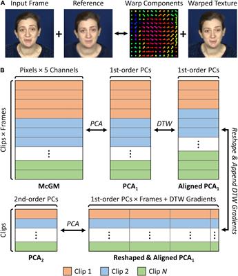 A PCA-Based Active Appearance Model for Characterising Modes of Spatiotemporal Variation in Dynamic Facial Behaviours
